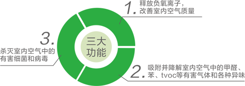 ʱ-ǲ!